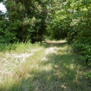 Photo #35 of SOLD property in Off Old Macon Hwy, Macon, NC 42.0 acres