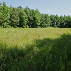 Photo #37 of SOLD property in Off Old Macon Hwy, Macon, NC 42.0 acres