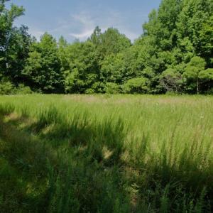 Photo #38 of SOLD property in Off Old Macon Hwy, Macon, NC 42.0 acres