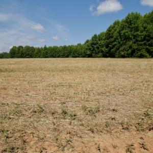 Photo #41 of SOLD property in Off Old Macon Hwy, Macon, NC 42.0 acres