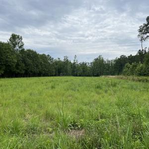 Photo #2 of SOLD property in 2003 Irvin Enzor Road N, Fair Bluff, NC 11.0 acres