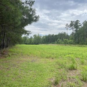 Photo #3 of SOLD property in 2003 Irvin Enzor Road N, Fair Bluff, NC 11.0 acres