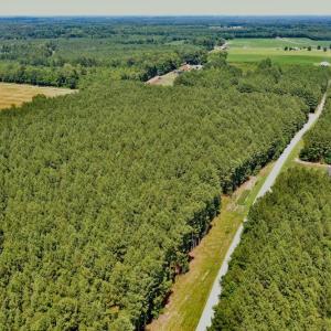 Photo #2 of SOLD property in Off Page Riddick Road, Gates, NC 10.6 acres
