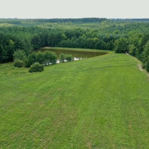 Photo #3 of SOLD property in 1227 Weavers Chapel Road, Littleton, NC 30.5 acres