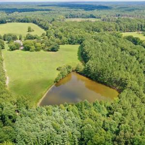Photo #14 of SOLD property in 1227 Weavers Chapel Road, Littleton, NC 30.5 acres