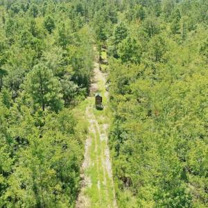Photo #37 of SOLD property in Off Dixon Road, Bethel, NC 33.0 acres