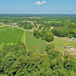 Photo #4 of SOLD property in Off Hwy 903, Scotland Neck, NC 26.7 acres