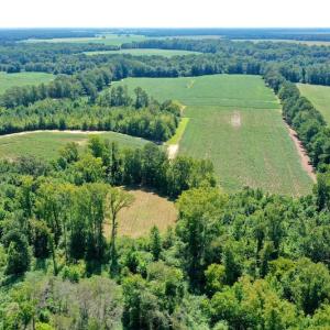 Photo #7 of SOLD property in Off Hwy 903, Scotland Neck, NC 26.7 acres