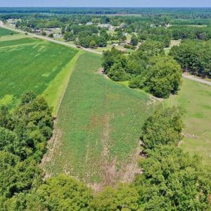 Photo #21 of SOLD property in Off Hwy 903, Scotland Neck, NC 26.7 acres