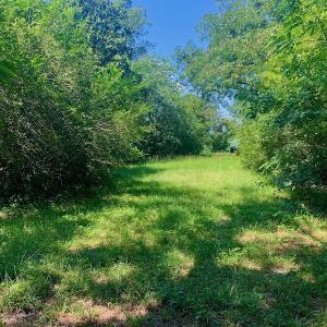 Photo #44 of SOLD property in Off Hwy 903, Scotland Neck, NC 26.7 acres