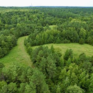 Photo #34 of SOLD property in 2000 Watts Trail, Virgilina, VA 107.9 acres