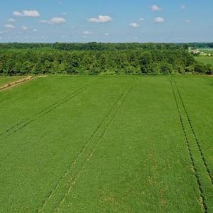 Photo #2 of SOLD property in Off Vandiford Thomas Road, Snow Hill, NC 60.8 acres
