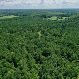Photo #9 of SOLD property in 653 Jones White Road, Roper, NC 46.8 acres