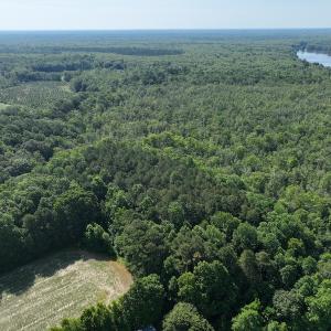 Photo #12 of Off 1307 San Souci Road, Windsor, NC 233.5 acres