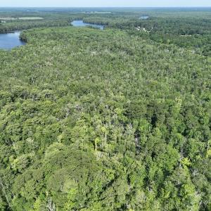 Photo #8 of Off 1307 San Souci Road, Windsor, NC 233.5 acres