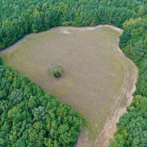 Photo #6 of SOLD property in Off Peter Stallings Road, Macon, NC 187.0 acres