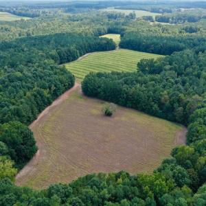 Photo #7 of SOLD property in Off Peter Stallings Road, Macon, NC 187.0 acres