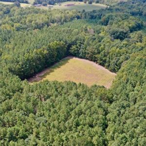 Photo #11 of SOLD property in Off Peter Stallings Road, Macon, NC 187.0 acres