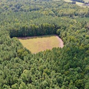 Photo #12 of SOLD property in Off Peter Stallings Road, Macon, NC 187.0 acres