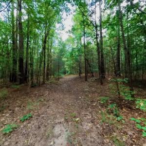 Photo #46 of SOLD property in Off Peter Stallings Road, Macon, NC 187.0 acres