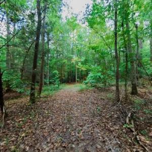 Photo #47 of SOLD property in Off Peter Stallings Road, Macon, NC 187.0 acres