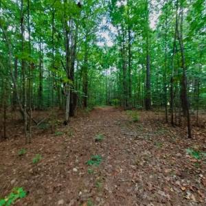 Photo #48 of SOLD property in Off Peter Stallings Road, Macon, NC 187.0 acres
