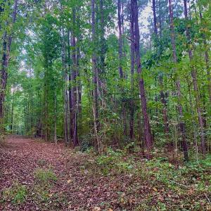 Photo #23 of SOLD property in Off Peter Stallings Road, Macon, NC 187.0 acres