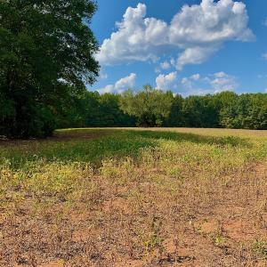 Photo #30 of SOLD property in Off Peter Stallings Road, Macon, NC 187.0 acres