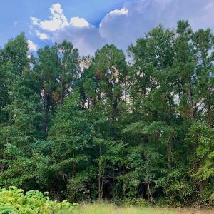Photo #35 of SOLD property in Off Peter Stallings Road, Macon, NC 187.0 acres