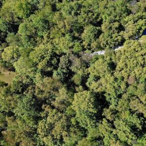Photo #13 of SOLD property in Off Sheep Creek Road, Bedford, VA 8.0 acres