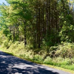 Photo #15 of SOLD property in Off Sheep Creek Road, Bedford, VA 8.0 acres