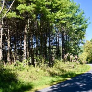Photo #16 of SOLD property in Off Sheep Creek Road, Bedford, VA 8.0 acres