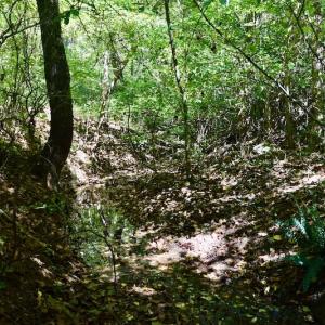 Photo #32 of SOLD property in Off Sheep Creek Road, Bedford, VA 8.0 acres