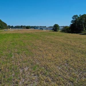 Photo #16 of SOLD property in Off Levi Drive, Ayden, NC 7.0 acres