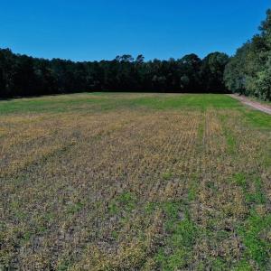Photo #18 of SOLD property in Off Levi Drive, Ayden, NC 7.0 acres