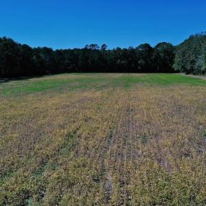 Photo #19 of SOLD property in Off Levi Drive, Ayden, NC 7.0 acres