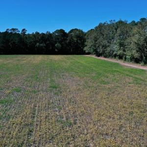 Photo #22 of SOLD property in Off Levi Drive, Ayden, NC 7.0 acres