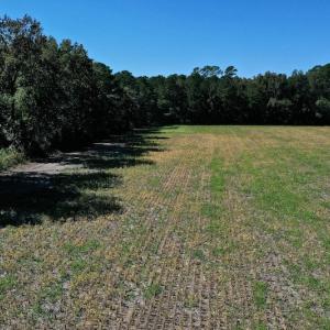 Photo #23 of SOLD property in Off Levi Drive, Ayden, NC 7.0 acres