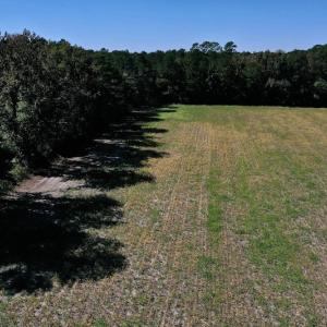Photo #24 of SOLD property in Off Levi Drive, Ayden, NC 7.0 acres