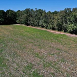 Photo #25 of SOLD property in Off Levi Drive, Ayden, NC 7.0 acres