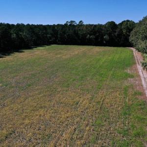 Photo #26 of SOLD property in Off Levi Drive, Ayden, NC 7.0 acres
