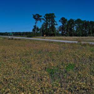 Photo #29 of SOLD property in Off Levi Drive, Ayden, NC 7.0 acres