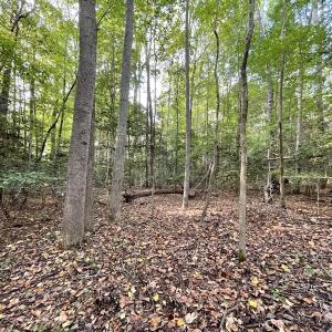 Photo #15 of SOLD property in Off Bethel Church Lane, Smithfield, VA 5.3 acres