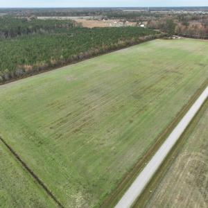 Photo #9 of 208 Burnt Mill Road, Edenton, NC 44.7 acres