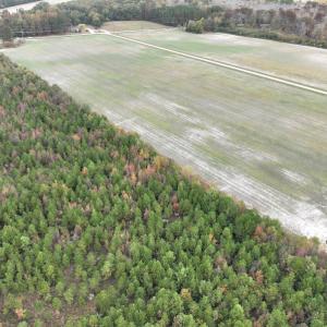 Photo #11 of 208 Burnt Mill Road, Edenton, NC 44.7 acres