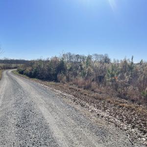 Photo #22 of SOLD property in Off Bunker Hill Road, Heathsville, VA 93.8 acres