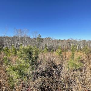 Photo #28 of SOLD property in Off Bunker Hill Road, Heathsville, VA 93.8 acres