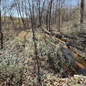 Photo #30 of SOLD property in Off Bunker Hill Road, Heathsville, VA 93.8 acres