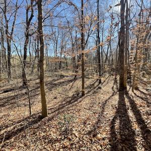 Photo #32 of SOLD property in Off Bunker Hill Road, Heathsville, VA 93.8 acres