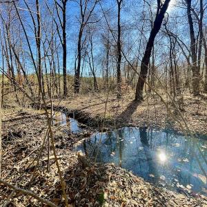 Photo #34 of SOLD property in Off Bunker Hill Road, Heathsville, VA 93.8 acres